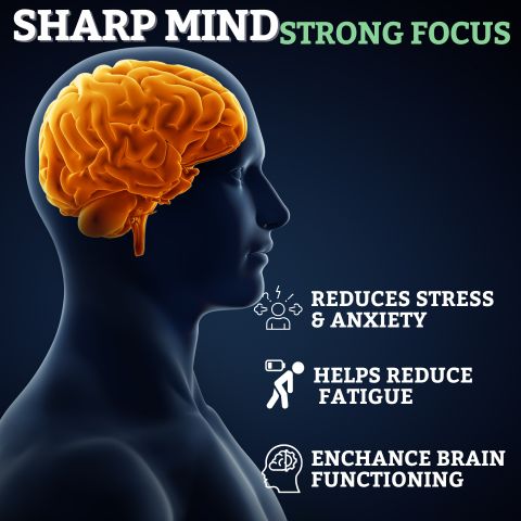 SHILAJIT RESIN FOR ENERGY, FOCUS AND VITALITY – PURE QUALITY AFGHAN SHILAJIT | STRENGTH | STAMINA | POWER | 100% PURE AND NATURAL
