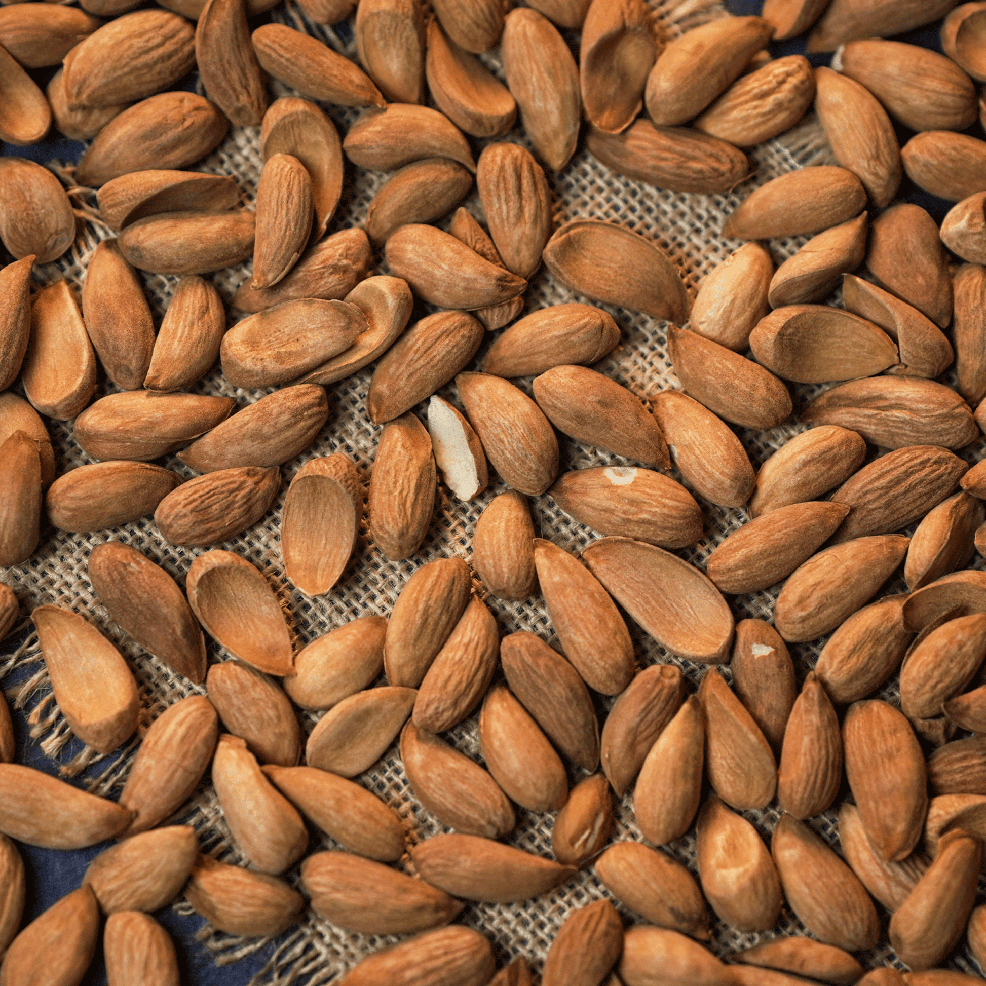 AAFARIN PREMIUM AFGHAN SAKURBAI MAMRA ALMOND (MAMRA GIRI BADAM).